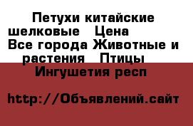 Петухи китайские шелковые › Цена ­ 1 000 - Все города Животные и растения » Птицы   . Ингушетия респ.